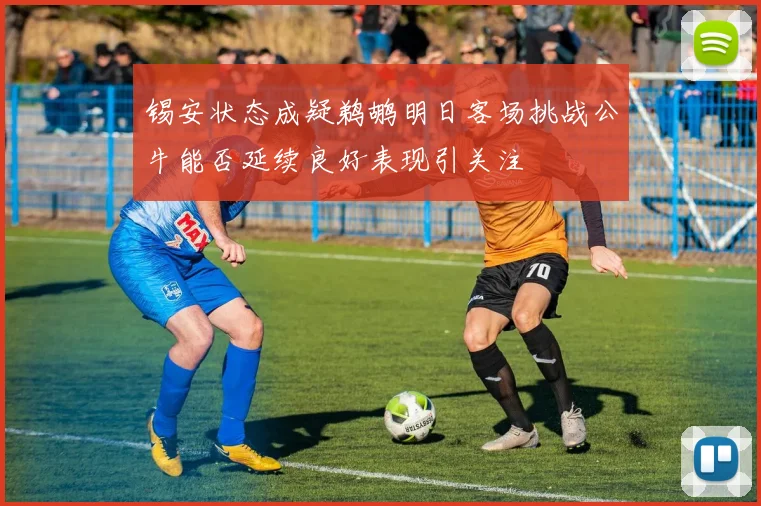 锡安状态成疑鹈鹕明日客场挑战公牛能否延续良好表现引关注