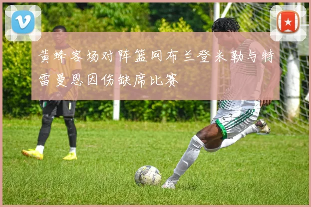 黄蜂客场对阵篮网布兰登米勒与特雷曼恩因伤缺席比赛