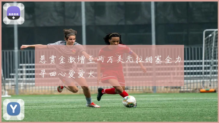 悬赏金激增至两万美元拉姆塞全力寻回心爱爱犬